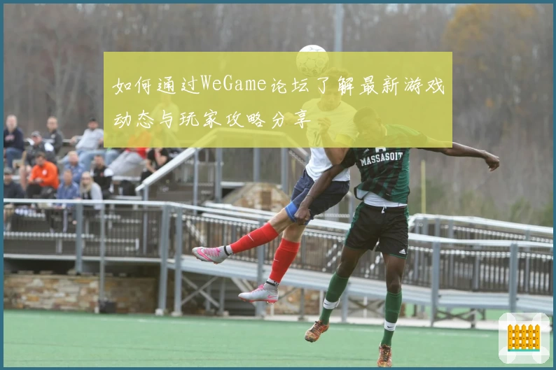 如何通过WeGame论坛了解最新游戏动态与玩家攻略分享